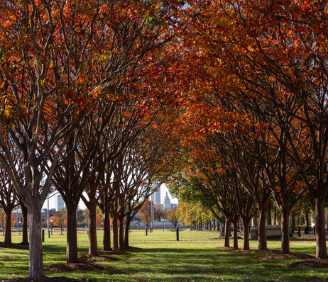 The University of Tulsa campus in autumn