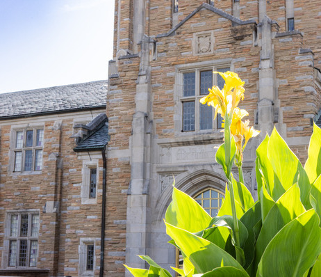 Flowers blooming at McFarlin Library at The University of Tulsa